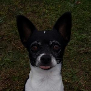 Meet your Posher, Stacyjason