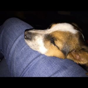 Meet your Posher, Dawn