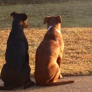 Meet your Posher, Gina