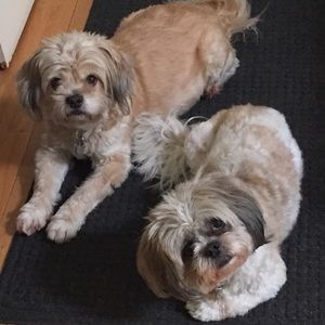 Meet your Posher, Tracey