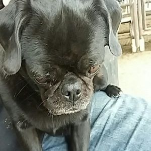 Meet your Posher, Nathan