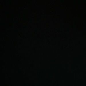 Meet your Posher, Shelly