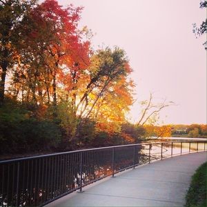 Meet your Posher, Karrie