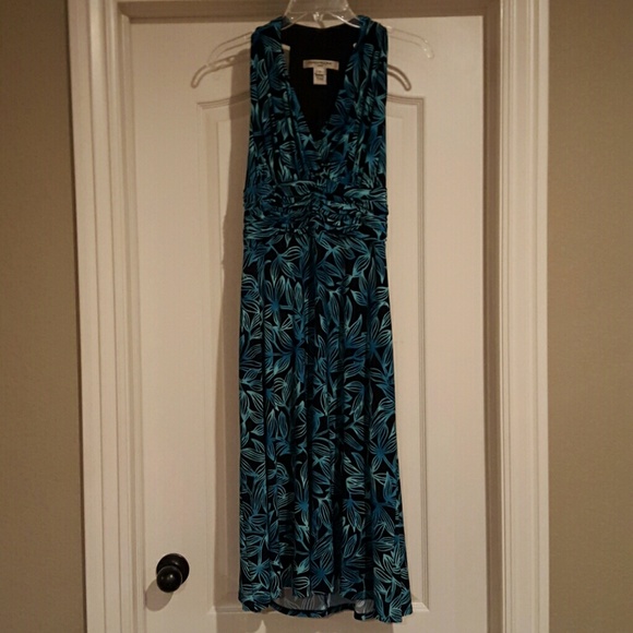 Evan Picone long dress