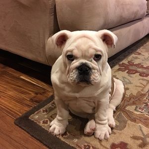 Meet your Posher, Ciara