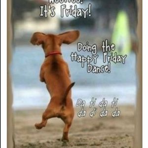 Meet your Posher, Shellane