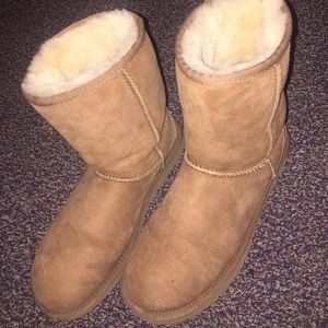 Classic Short Chestnut Uggs