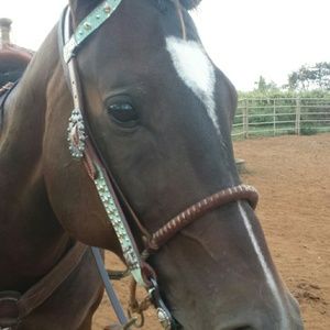 Meet your Posher, Janey