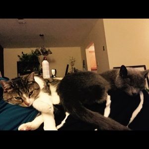 Meet your Posher, Brett