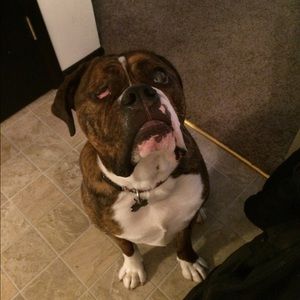 Meet your Posher, Samantha