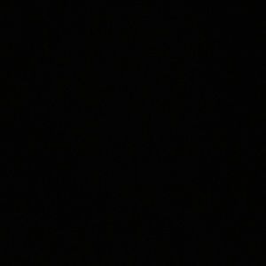 Meet your Posher, Cecily