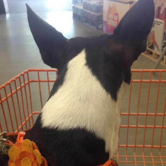 Meet your Posher, Hannah