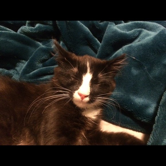 Meet your Posher, Allexus