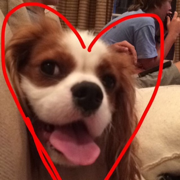 Meet your Posher, Delaine