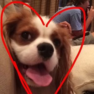 Meet your Posher, Delaine