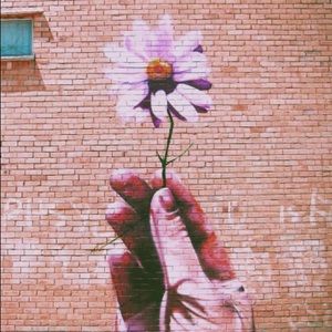 Meet your Posher, Lupe