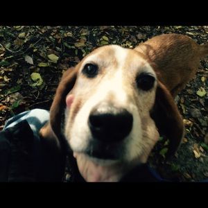 Meet your Posher, Chris