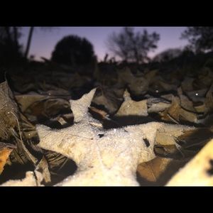 Meet your Posher, Talya