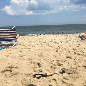 Meet your Posher, Ellen