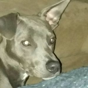 Meet your Posher, Tracie