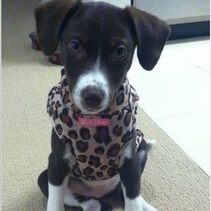 Meet your Posher, Kait