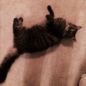 Meet your Posher, Rachael