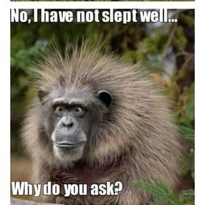 Meet your Posher, Veronica