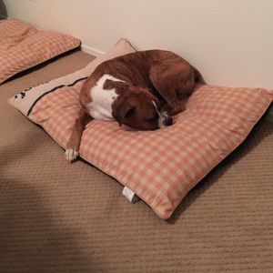 Meet your Posher, Chelsea