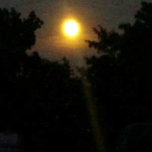 Meet your Posher, Kaila