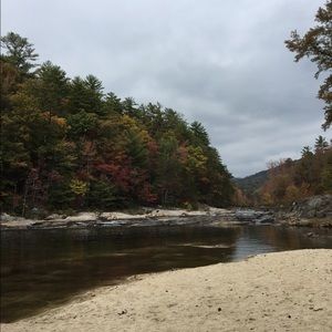 Meet your Posher, Brandy