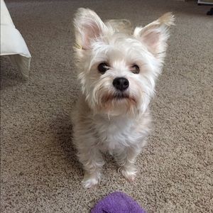 Meet your Posher, Lisa