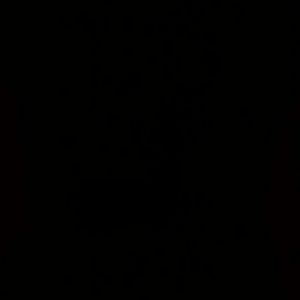 Meet your Posher, Lonk