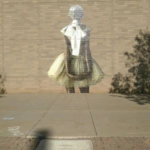 Meet your Posher, Shelly