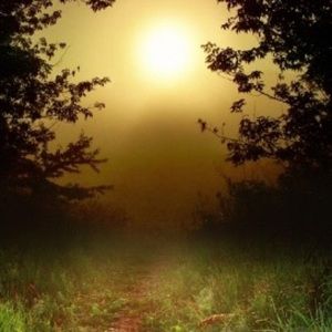 Meet your Posher, Karimah