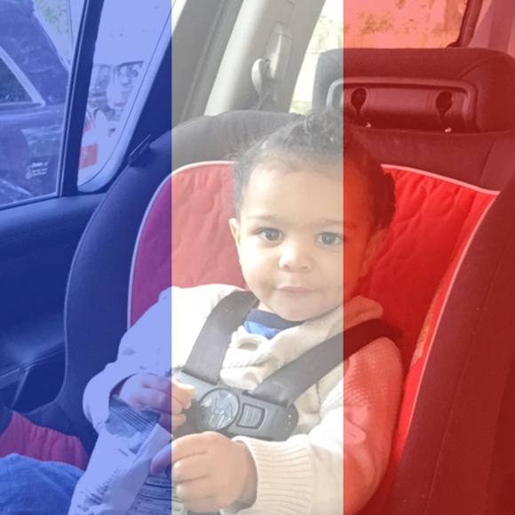 Meet your Posher, Brandy - Picture 1 of 1