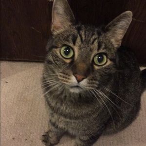 Meet your Posher, Jenna