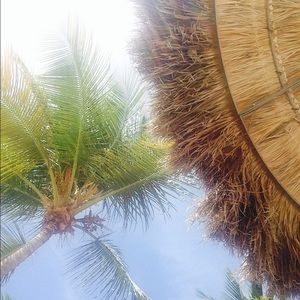 Meet your Posher, Daina