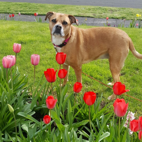 Meet your Posher, Lisa - Picture 3 of 8