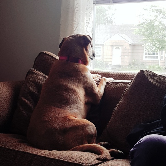 Meet your Posher, Lisa - Picture 4 of 8