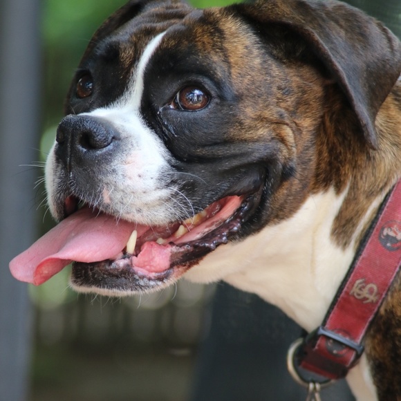 Meet your Posher, Lisa - Picture 8 of 8