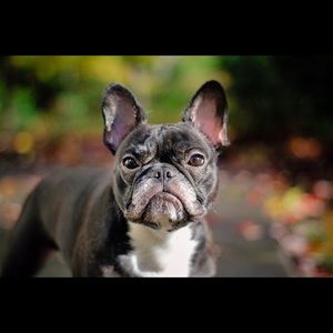 Meet your Posher, Serena