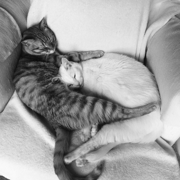 ๐ Meet your "Poshmark Ambassador" Christine ๐ - Picture 2 of 7