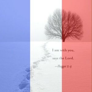 Meet your Posher, Joyce