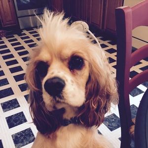 Meet your Posher, Staci