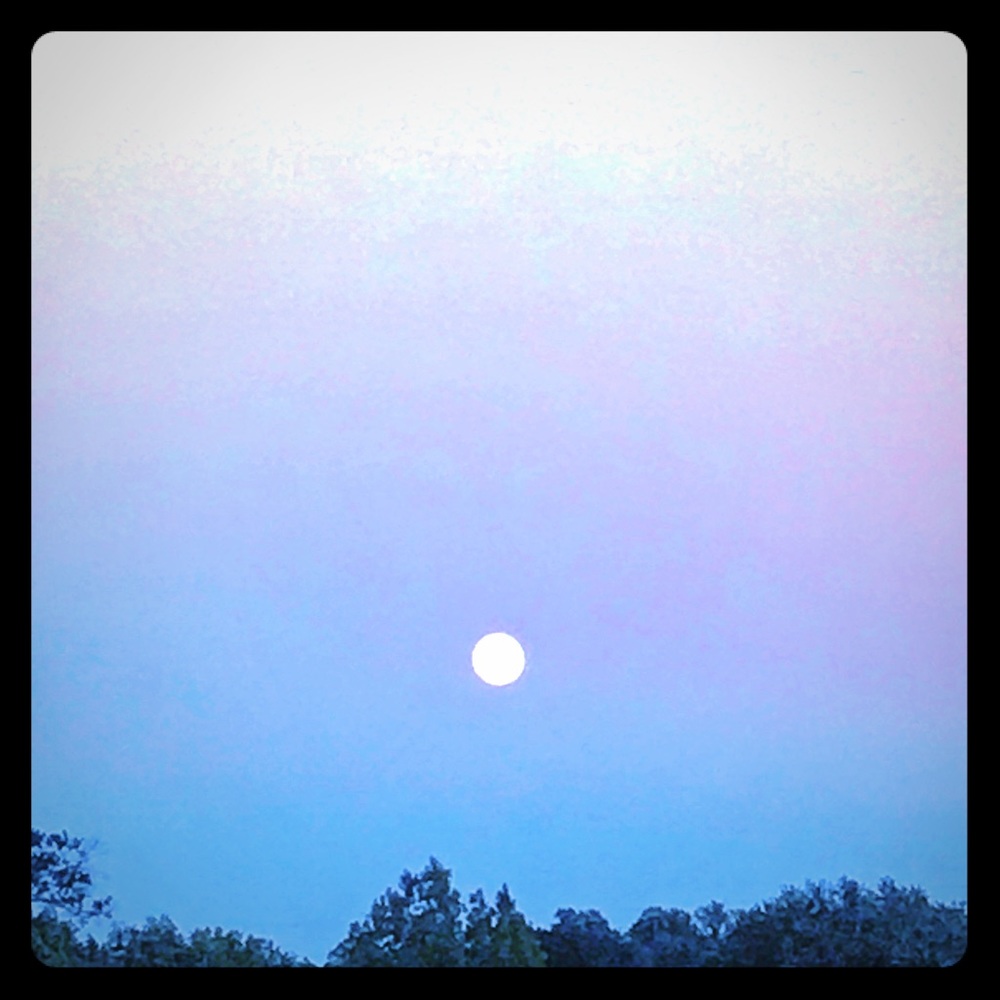 Meet your Posher, Al