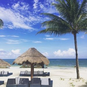 Meet your Posher, Carly