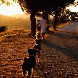 Meet your Posher, Lois