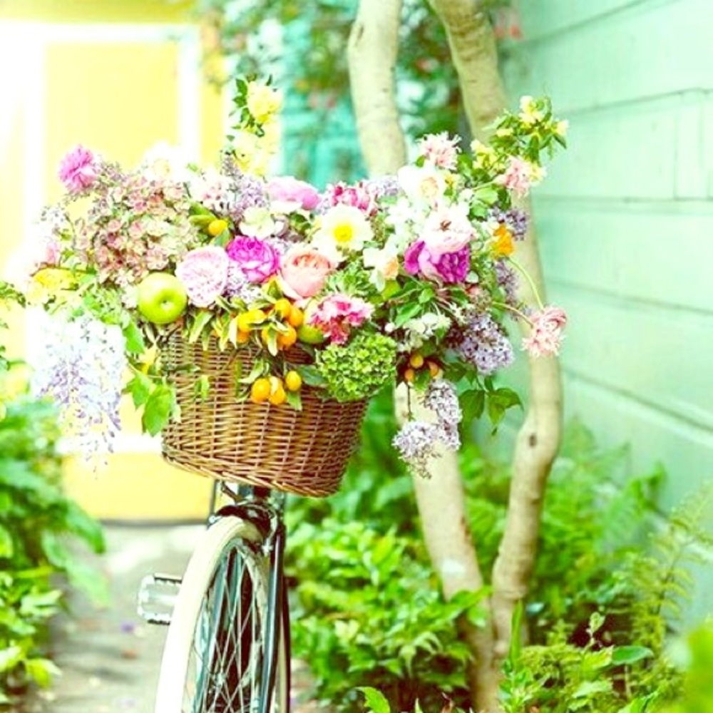 Meet your Posher, Lindsey