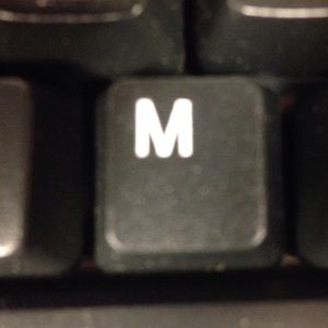 Meet your Posher, Michelle