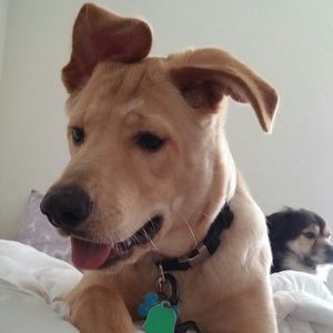 Meet your Posher, Hannah